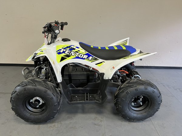 Elektro Quad Mikilon Kinderquad E25 750 Watt 48V